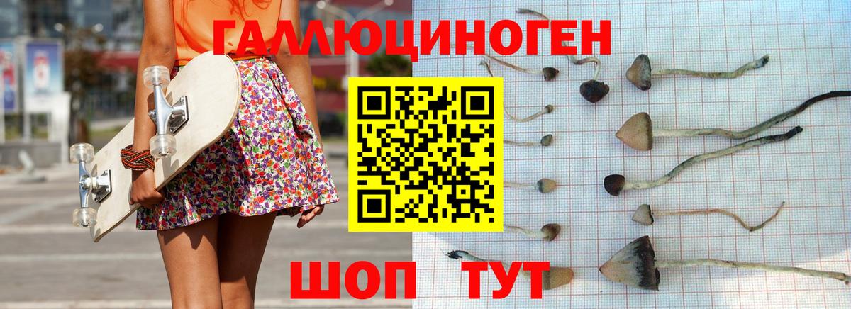 Галлюциногенные грибы прущие грибы  Вход с VPN  Комсомольск-на-Амуре 